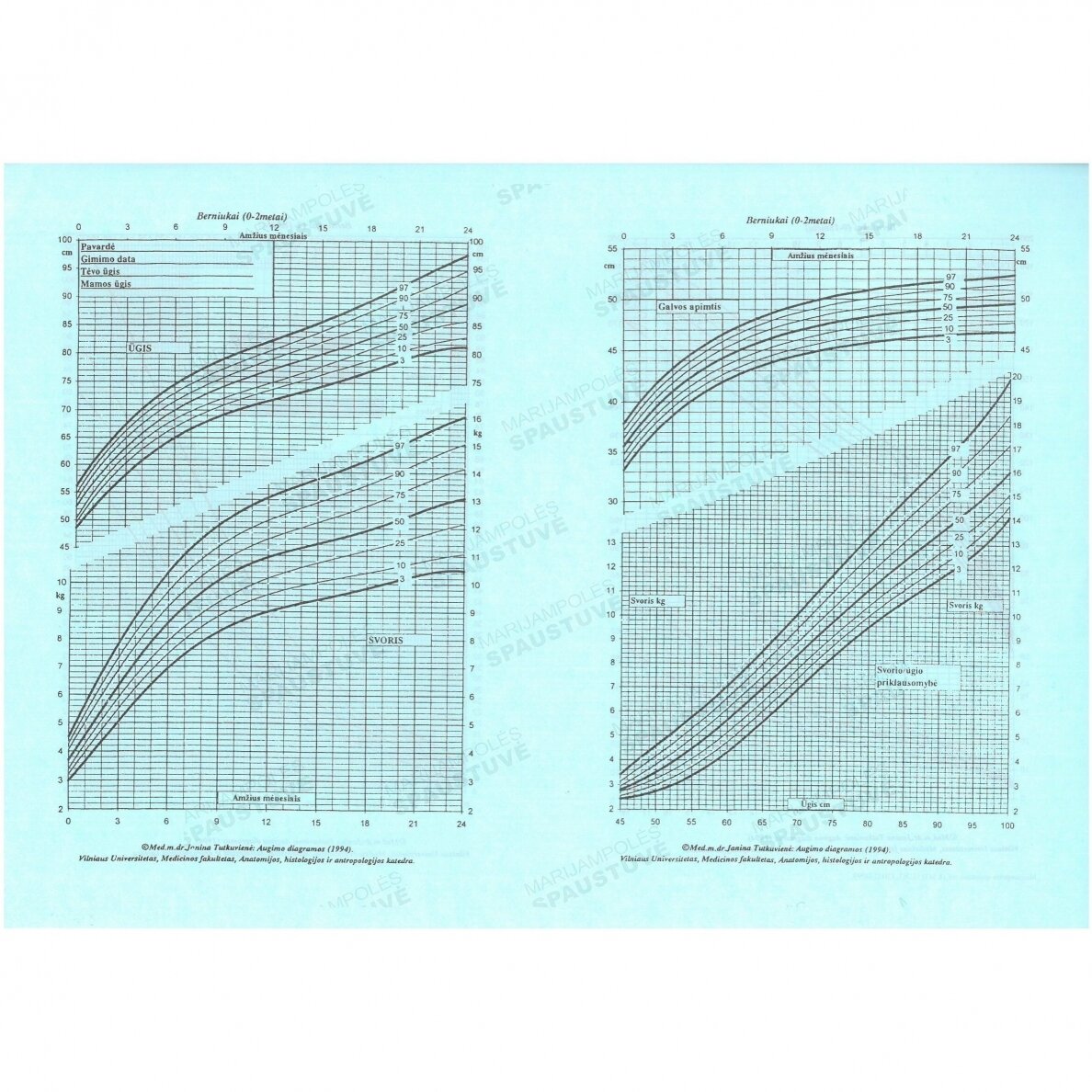 Berniukai 1