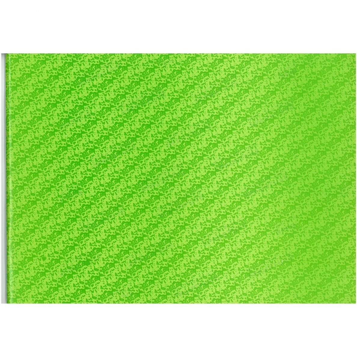 Kontorinė knyga horizontali