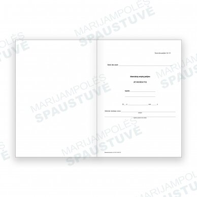 Materialinių vertybių judėjimo ataskaita (forma 121)