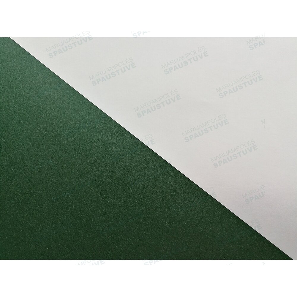 Piruet ML green